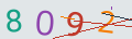 verifycode